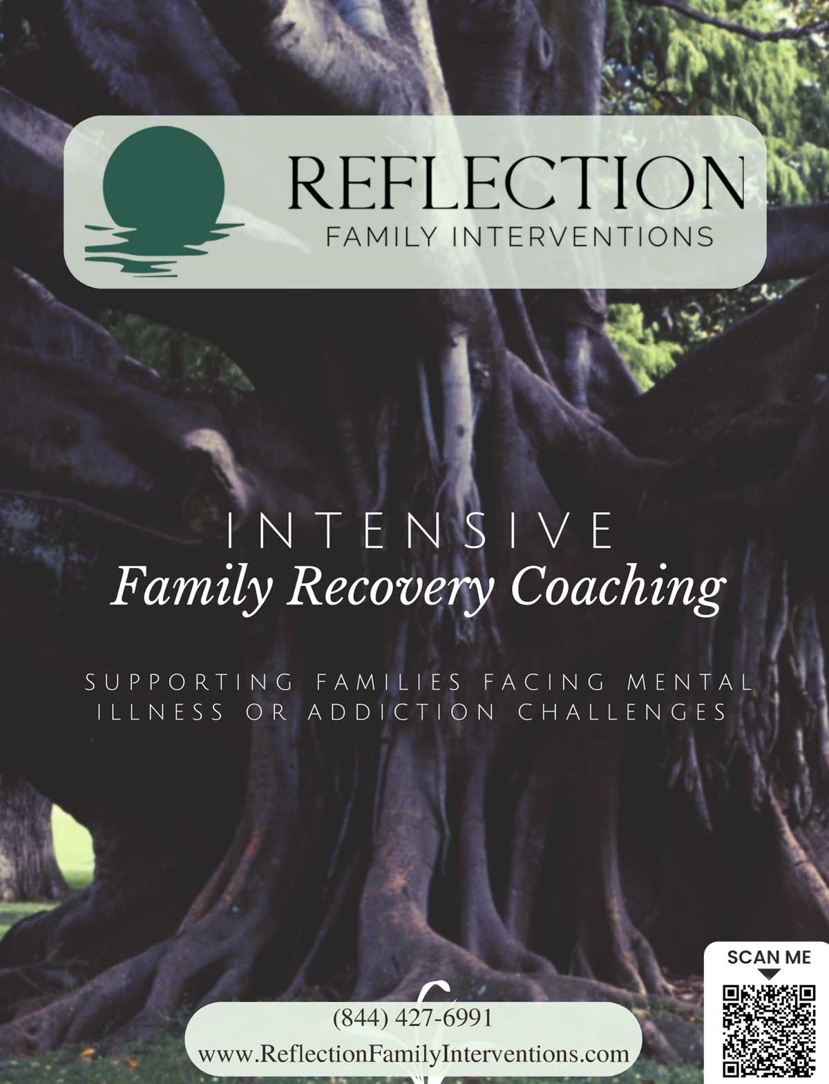 Family Recovery Coaching | Reflection Family Intervention