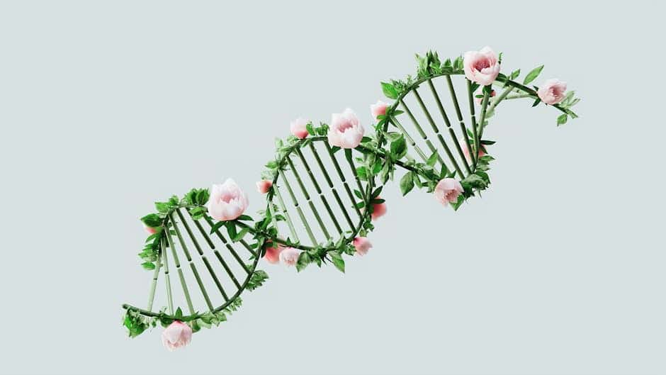 Is Alcoholism Genetic